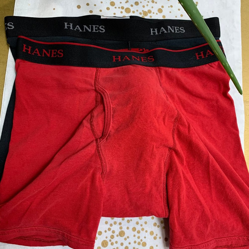 Two Small Hanes Boxer Briefs